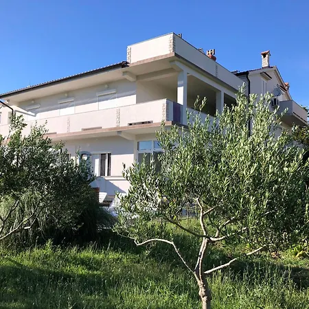 Apartment Erdgeschosswohnung Mit Terrasse Fuer Sechs Personen